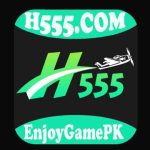 H555 Game logo image