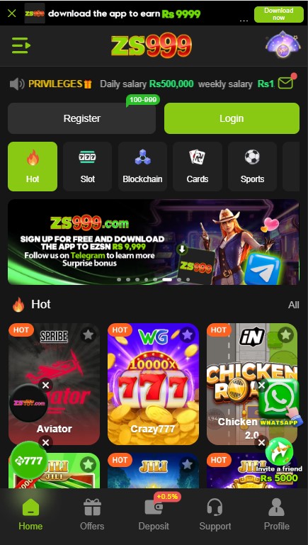ZS999 IMAGE