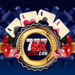 777SX-Logo-image