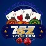 777SZ_log _image