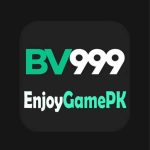 BV999 Logo Image