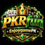 PakFun_logo_image
